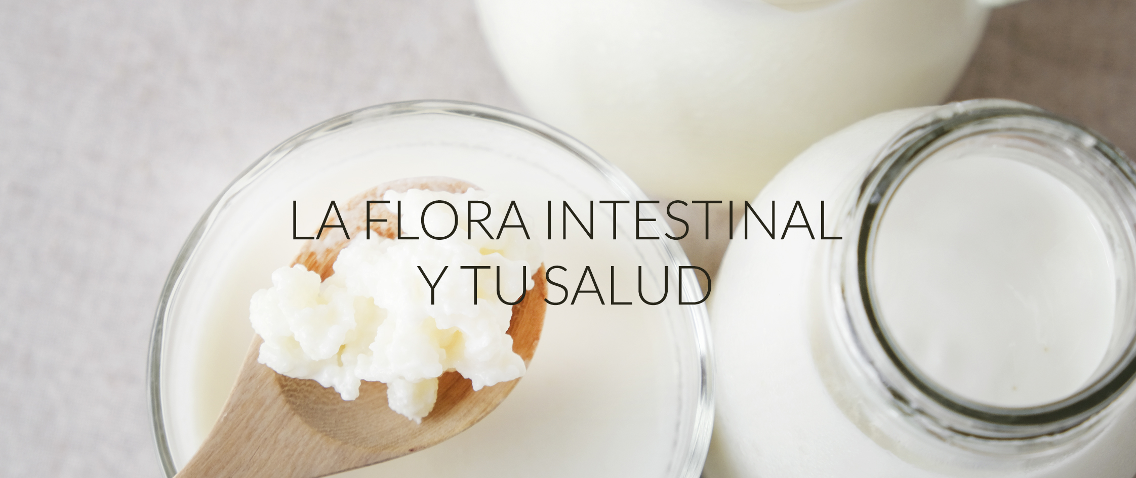 La Flora Intestinal Y Tu Salud Cosmopolitan Elche